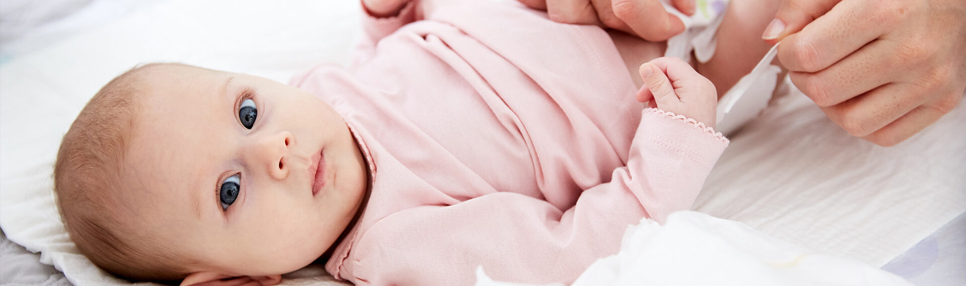bella baby happy header 2023