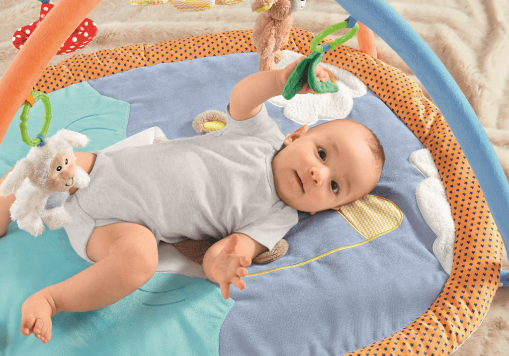 Activity Center Tierfreunde Baby