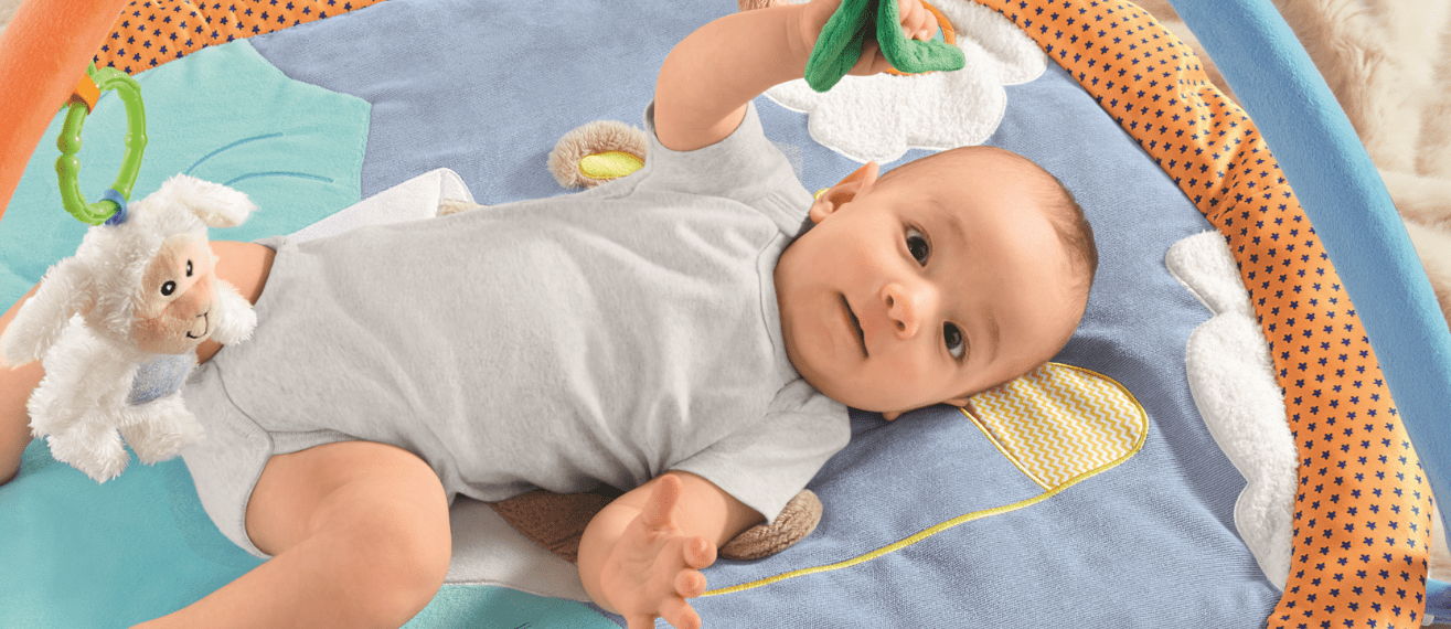Activity Center Tierfreunde Baby