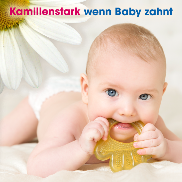 Kompetenzbereich Kamistad