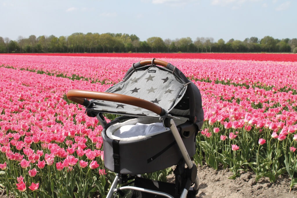 Dooky Universal Cover Moodbild Tulpenfeld