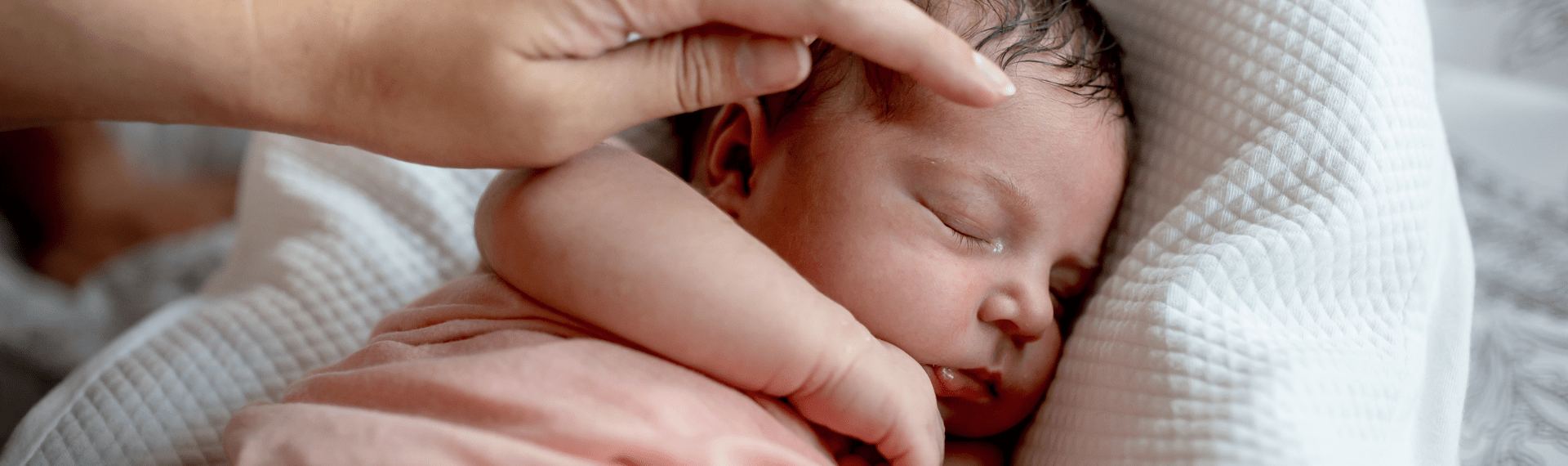 Ein Neugeborenes liegt entspannt und schlafend in einem Babynestchen und wird liebevoll im Gesicht gestreichelt.